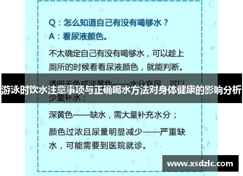 游泳时饮水注意事项与正确喝水方法对身体健康的影响分析