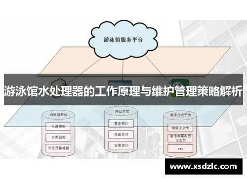 游泳馆水处理器的工作原理与维护管理策略解析