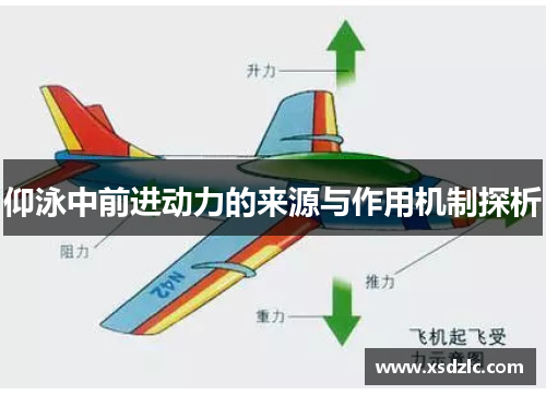 仰泳中前进动力的来源与作用机制探析